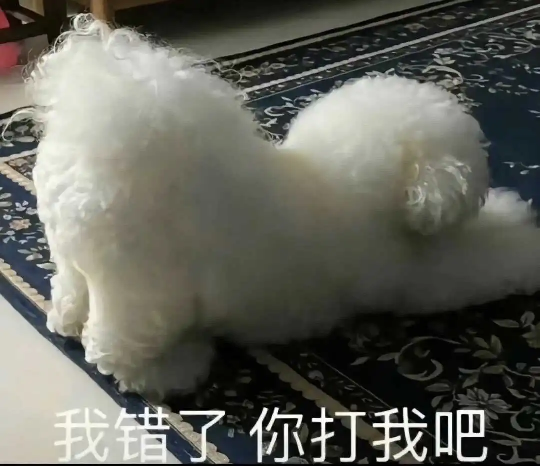 西檬之家m倾向是什么?字母圈新人如何理解 一