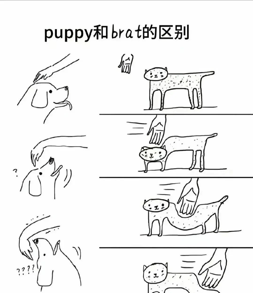 西檬之家斯慕圈新人如何入圈? 一