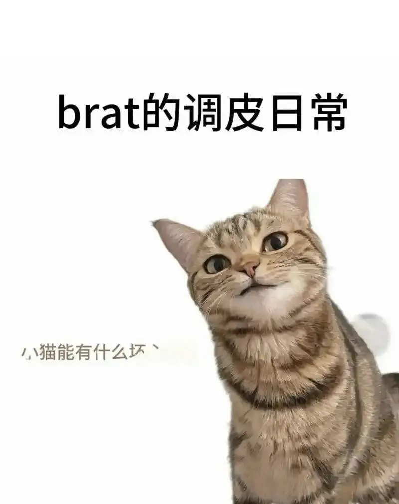 西檬之家圣水是什么?字母圈圣水玩法科普 一