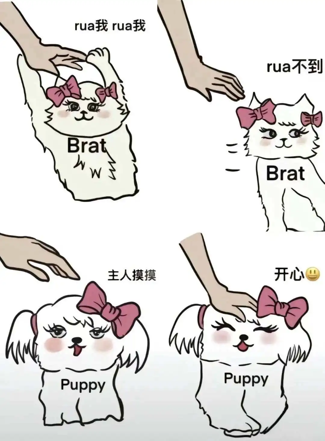 西檬之家字母圈新人如何入圈? 一