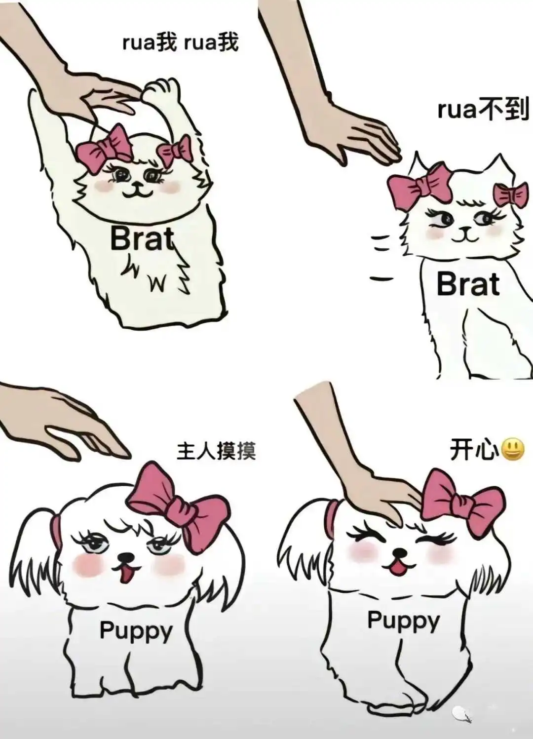 西檬之家斯慕圈新手入门指南 一