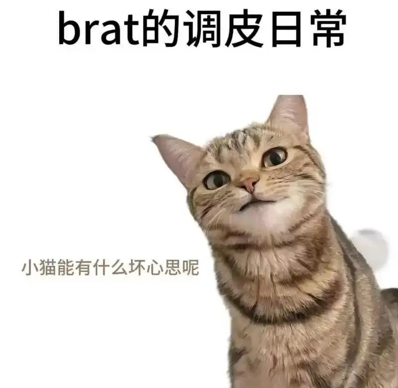 西檬之家字母圈Sp是什么意思? 一