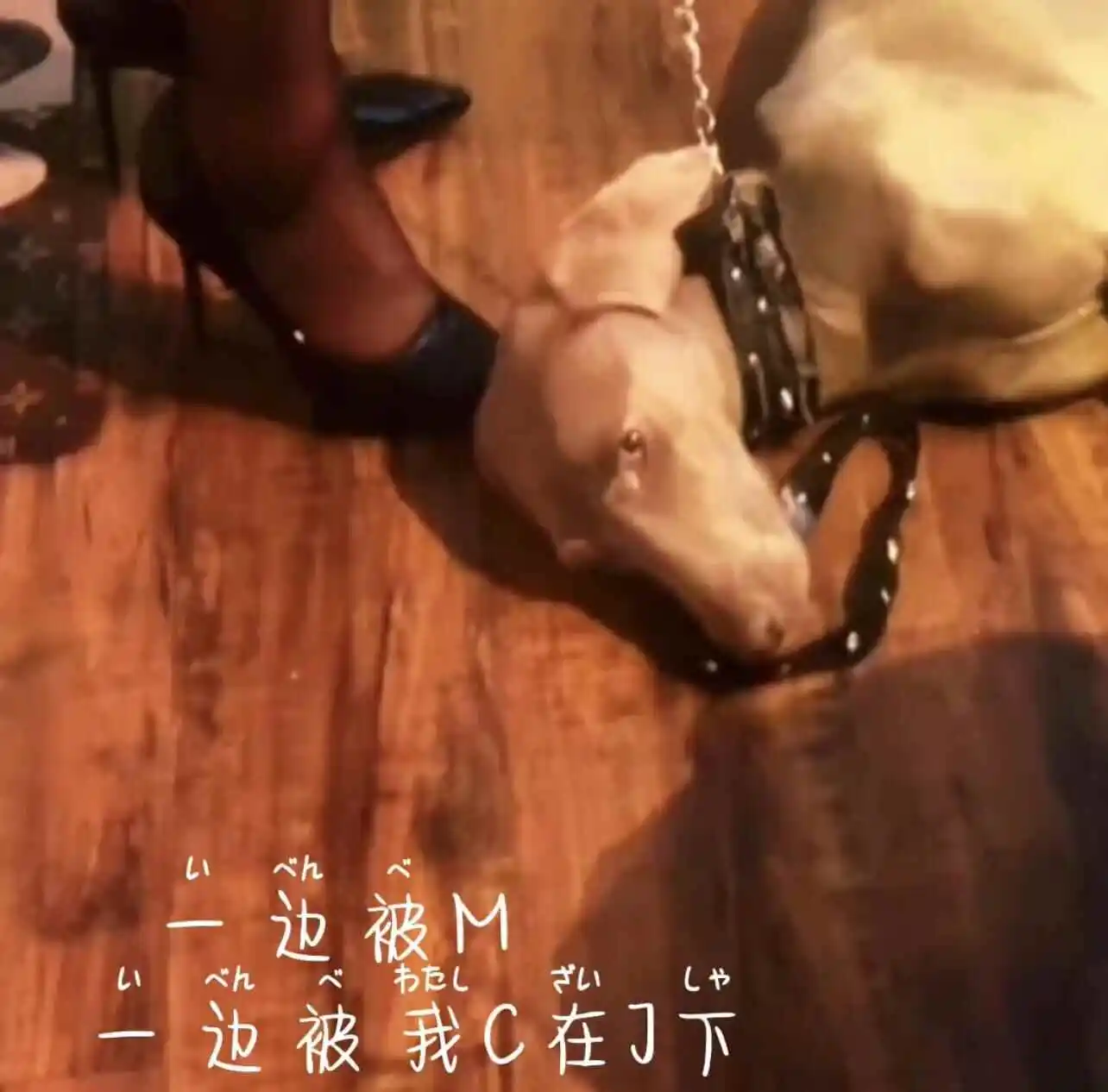 西檬之家ddlg是什么?揭秘字母圈年龄扮演关系 一