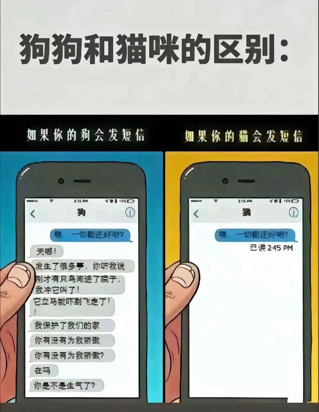 西檬之家ds关系入门指南 一